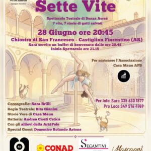 Sette Vite - Spettacolo